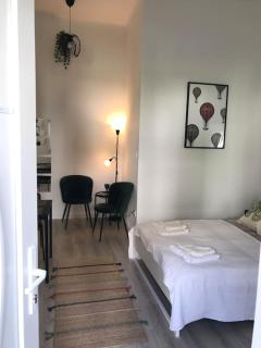 Near City park only 5 minutes walk , where you can find the world famous Szechenyi thermal bath spa, Capital Circus , Museums The apartment is modern and newly renovated ,in a quiet and peaceful green Oasis with AC ,smart TV, high speed internet - Budapest - 7