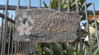 B&B L'Asfodelo - Villa San Pietro - 4