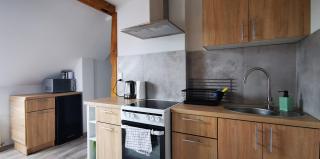 Klimatyczne apartamenty z widokiem na góry Sowie - 2