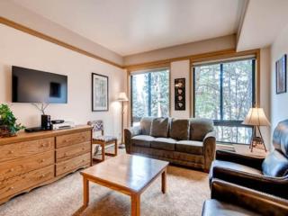 Keystone Slopeside Studio Condo - 8