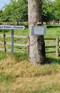 Les Petits Champs - 9