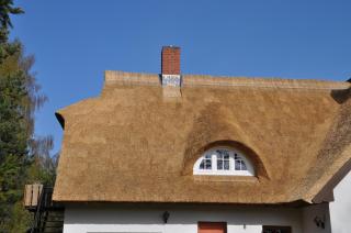 Haus an der Tanne - 7
