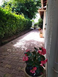 Maison verdure & calme - Castries - 2