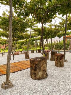 Domain The blaze - 6