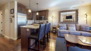 Vail Lionshead Village Landmark 1 Bedroom Condo - 6