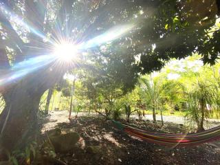 AQUA CEIBA Hotel Spa Aventuras y Eventos - 1