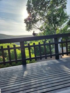 Nature's Edge Cabin - Natureʼs Valley - 0