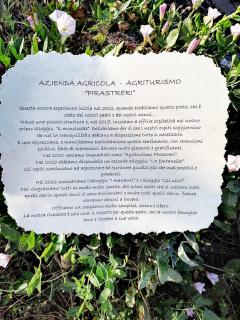Agriturismo "PIRASTRERI" - Siniscola - 8
