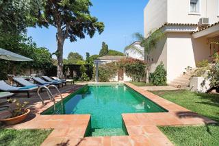 Olmo tree - Vista Hermosa - 0