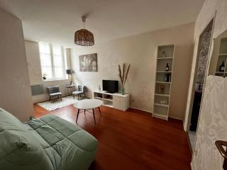 Chouette Appartement Dijon Centre - Dijon - 3