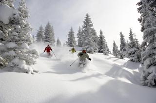 Beaver Creek Highlands Slopeside 3 Bedroom Residence - 9