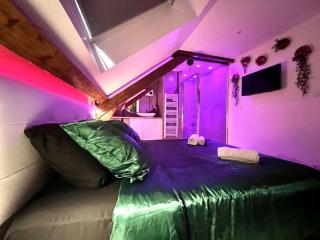 Natural Suite - Proche Gare - 4P - Belfort - 7