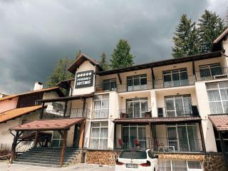 Artemis Villa - Poiana Brasov - 8