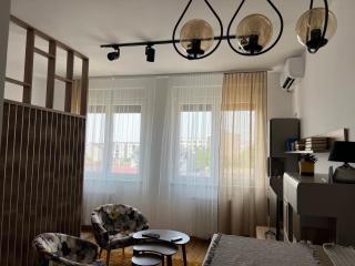 Apartment Charlie private parking - Novi Sad - 8