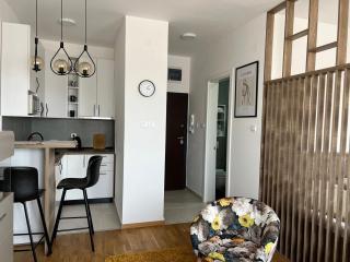 Apartment Charlie private parking - Novi Sad - 6