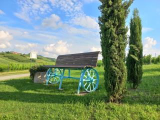 Cascina Longoria - Neive - 1