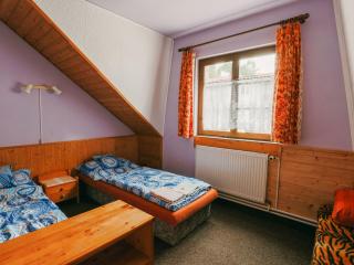 Apartment Kačenka-1 by Interhome - Desná - 1