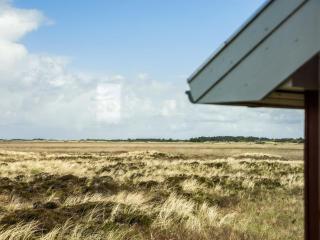 Holiday Home Felicitas - 750m from the sea in Western Jutland by Interhome - 5