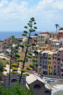 Casa Carla - Vernazza - 2