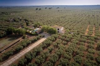 Villa Amurusanza - Dependance con piscina - 1