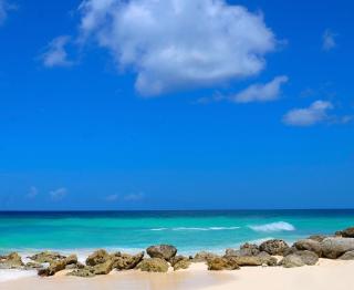 Dover Beach Hotel - Christ Church - 8