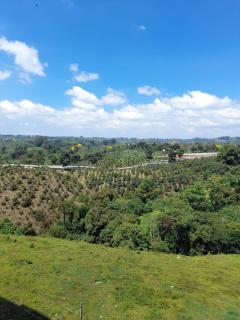 Apartamentos y Piscina a 3 min del Parque Cafe - 0