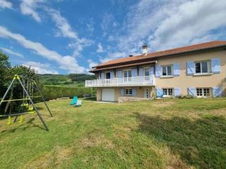 Maison lumineuse avec jardin, garage, jeux extérieurs, animaux acceptés - FR-1-496-291 - Saint-Georges-en-Couzan - 0