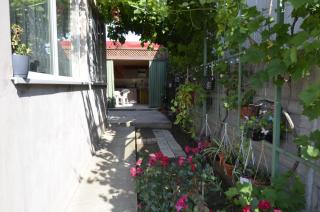 Vila Ali - Costinesti - 7