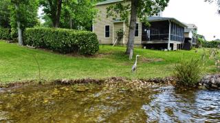 Wishing & Fishing on Lake Murray, SC - Chapin - 9