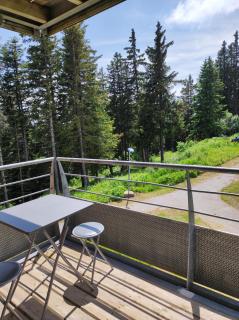 Chamrousse 1700 - Les Domaines de LArselle- Silènes C23 - Classé 3 étoiles - 7