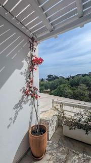 Asterias Apartment - Parikia - 1