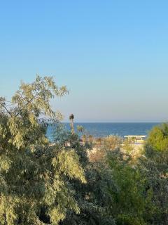 Selena by the sea - Mamaia - 8