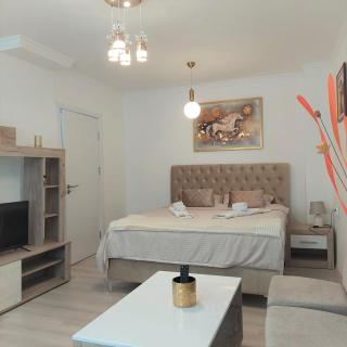 City lux Square apartments Skopje - 9