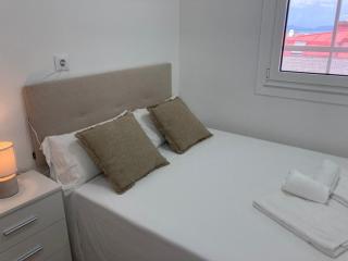 Magnífico piso con gran terraza en centro de Vigo - Vigo - 5