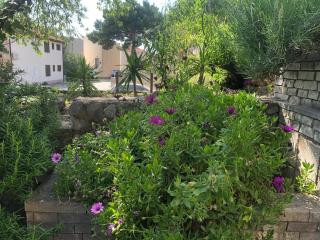 Apartments Stari Pavle - Brela - 2