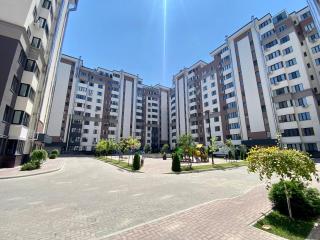 POLO CeNTRAL 1 Room & Living Apartment !!! - 5