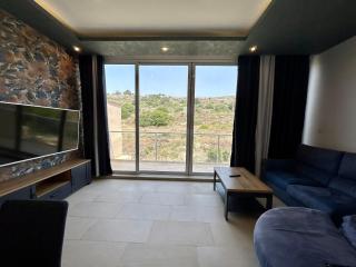 Hillview Duplex Penthouse - 3