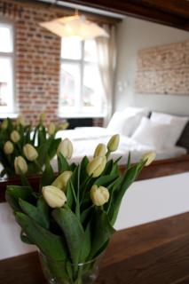 Apartamenty Luizjana - 9