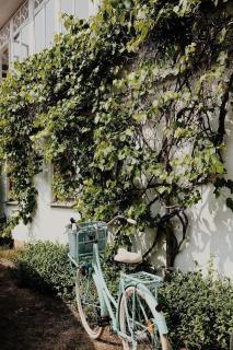 Vila Šilelis - 3