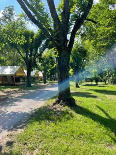 Camping Beaussement Samouraï - 9
