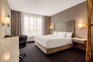 Comfort Inn & Suites - 3