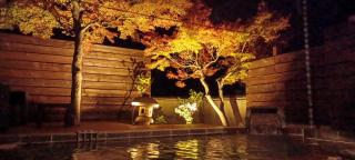 旬樹庵　菊水 - 4