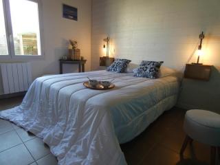 Maison rénovée, 8 pers, animaux admis, jardin - FR-1-540-188 - 8