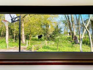 The Little Barn - Hoxne - 8