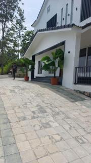 HillTop in greany meadows yercaud - 2