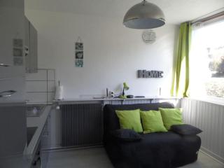Joli studio Super Besse - Besse-et-Saint-Anastaise - 0