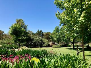 Seppeltsfield Vineyard Retreat - 3 Bedroom Holiday Home - Seppeltsfield - 3