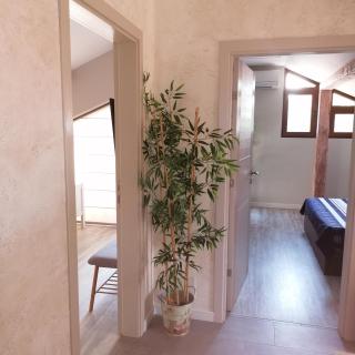 Apartments Dona - Tschernomorez - 3