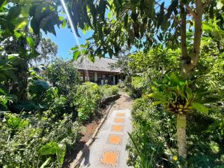 Manigelang Villa - Munduk - 9