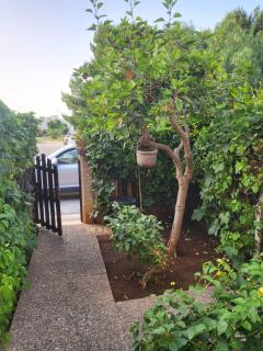 Casa Vacanze Mulino - San Vito lo Capo - 8